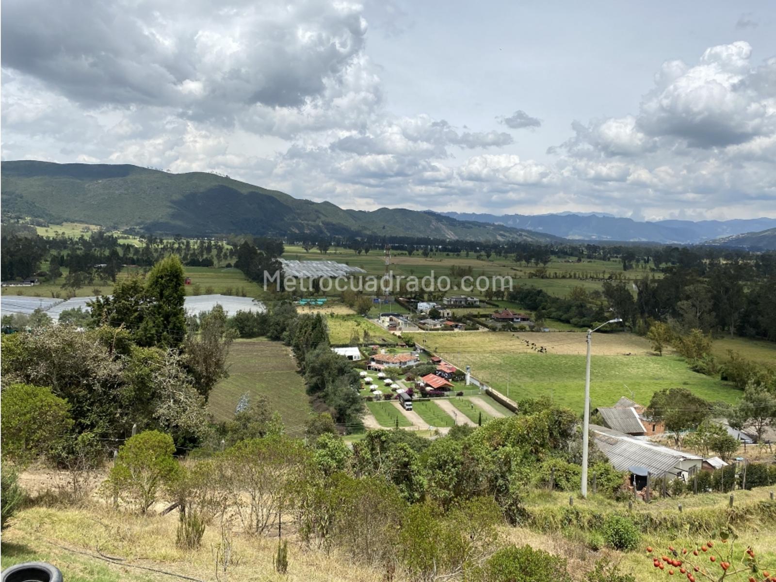 Venta De Casa Lote En Vereda Gratamira Sopo Sopo Incluye Yerbabuena