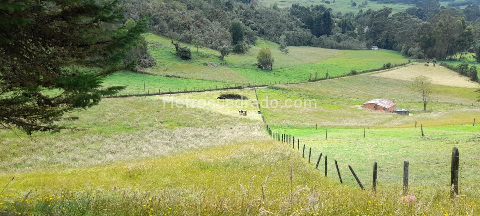 Venta De Casa Lote En Vereda Santa Isabel De Potosi Guasca 14754