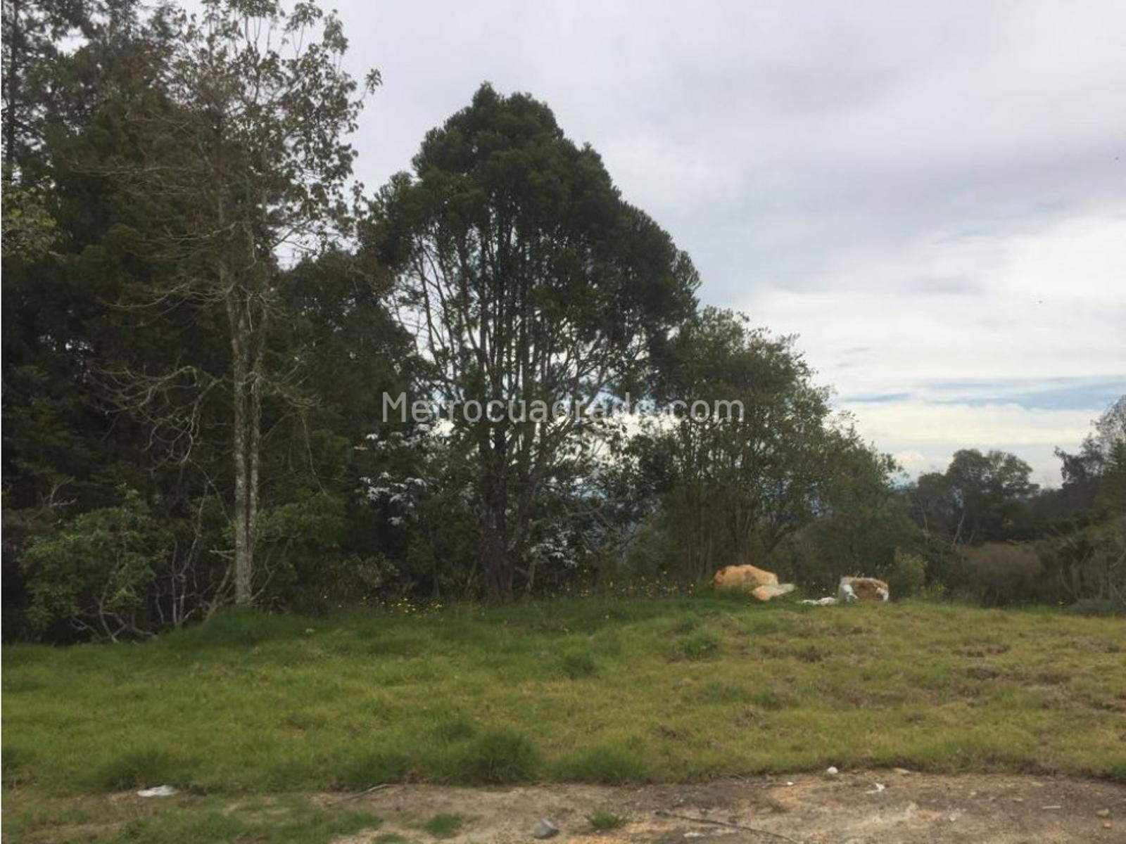 Venta De Lote O Casalote En Alto De Las Palmas Envigado M