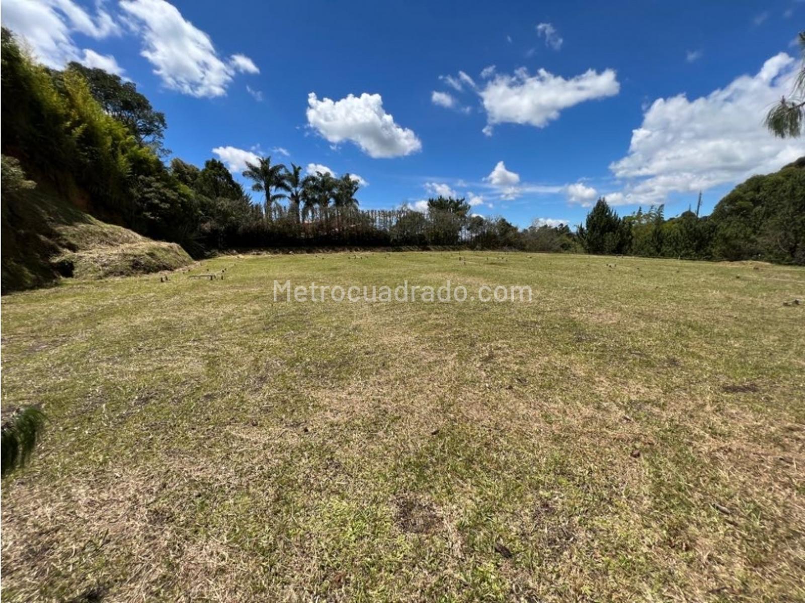 Venta De Lote O Casalote En Llanogrande Rionegro M