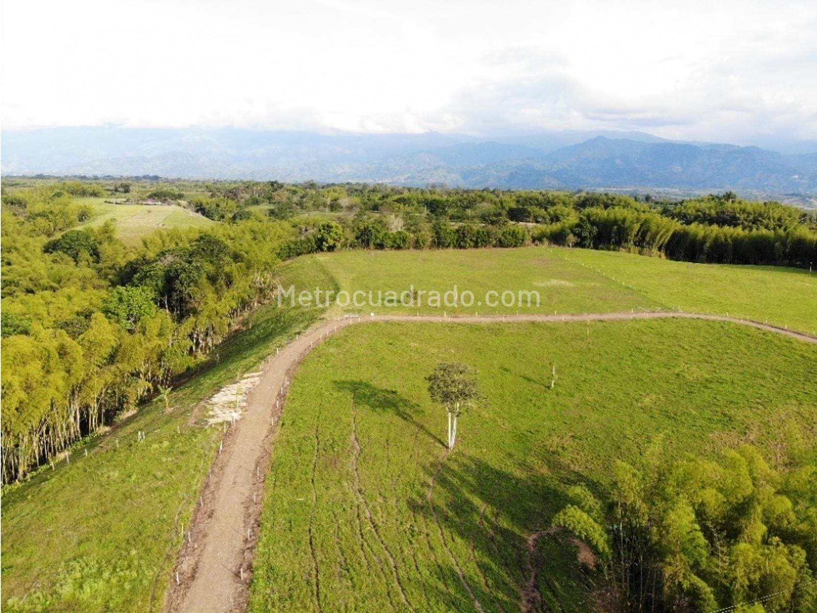 Venta De Lote O Casalote En Aeropuerto Armenia M