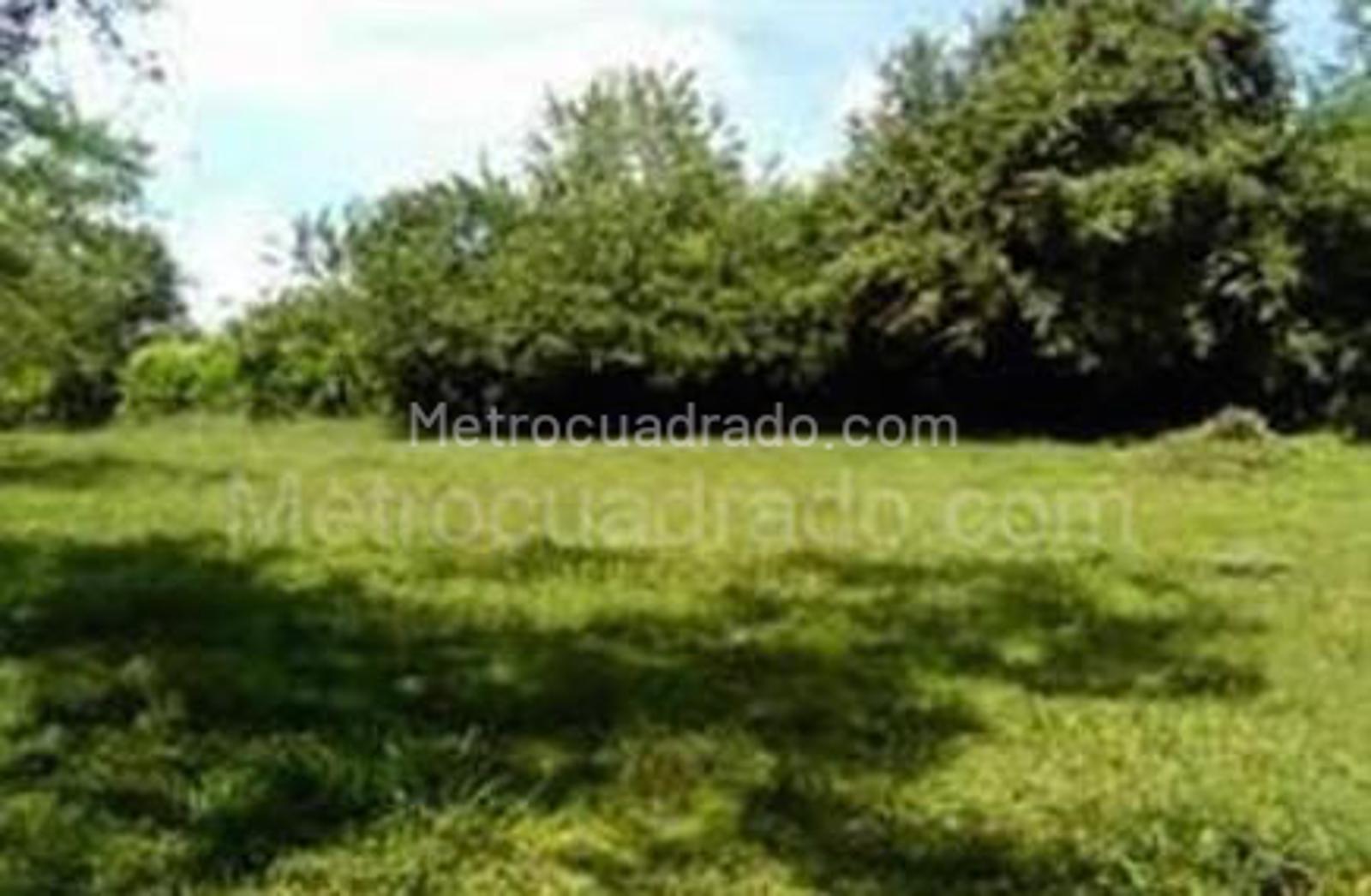 Venta De Casa Lote En Altos De Suba Bogot D C M