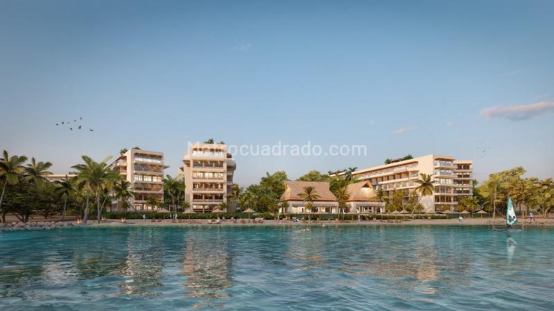 Proyecto Jacana
