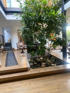 Casa de 4 alcobas en venta en Santa Ana Oriental, Bogotá, 700 m² · foto 8 de 17