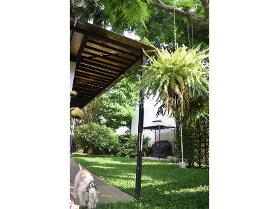 Casa de 4 alcobas en venta en Pance, Cali, 280 m² · foto 6 de 20