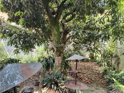 Casa de 3 alcobas en venta en Laureles, Medellín, 269 m² · foto 15 de 15