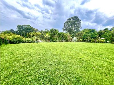 Casa de 4 alcobas en venta en Variante Condina, Pereira, 260 m² · foto 5 de 18