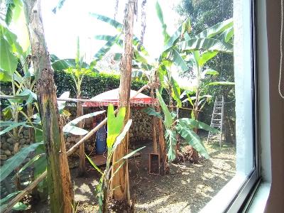 Casa de 5 alcobas en venta en Pance, Cali, 886 m² · foto 11 de 20