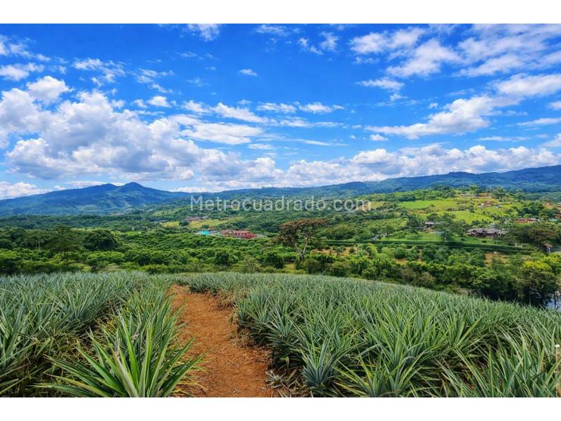 Lote en Venta, Cali, Cali - Vista 4
