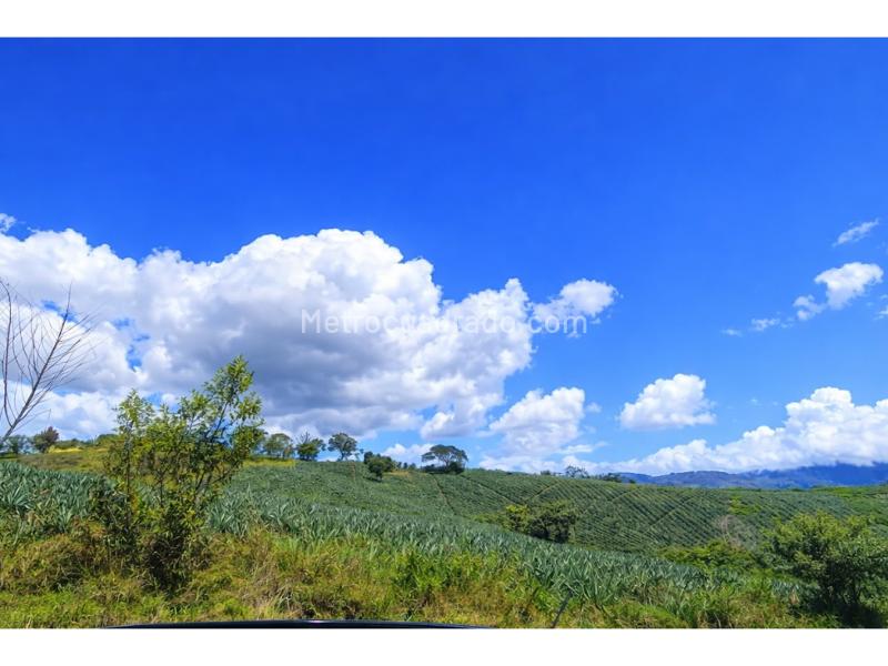 Lote en Venta, Cali, Cali - Vista 5