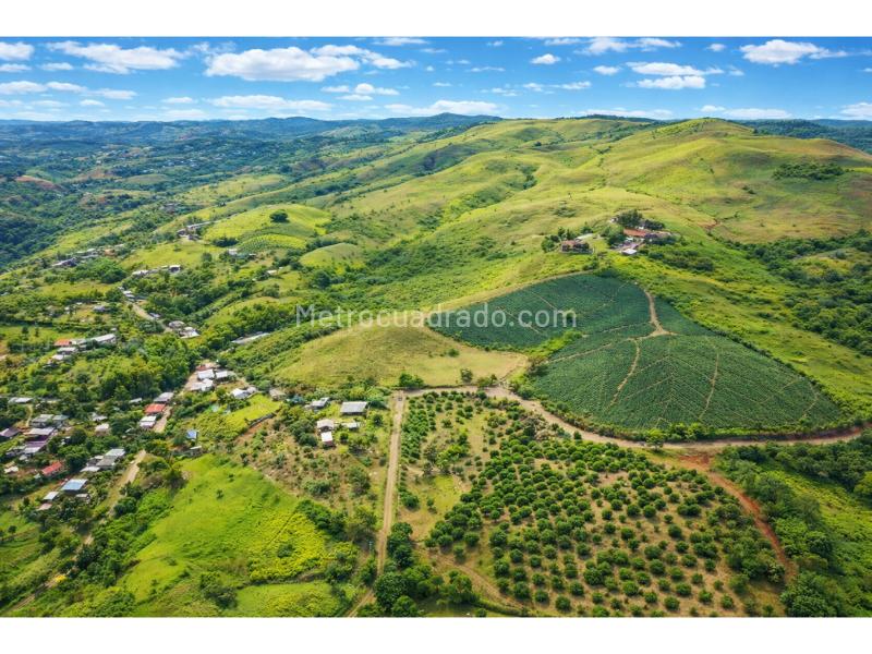 Lote en Venta, Cali, Cali - Más