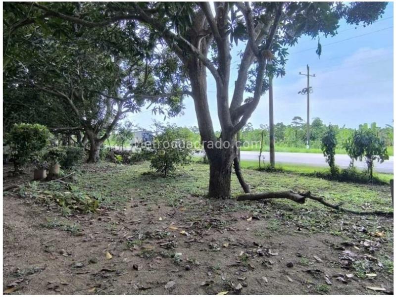 Lote en Venta, Buritaca, Santa Marta - Vista 2