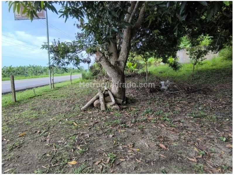Lote en Venta, Buritaca, Santa Marta - Vista 4