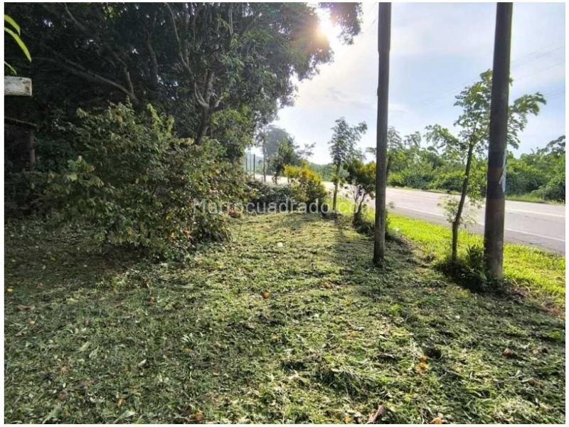 Lote en Venta, Buritaca, Santa Marta - Vista 5