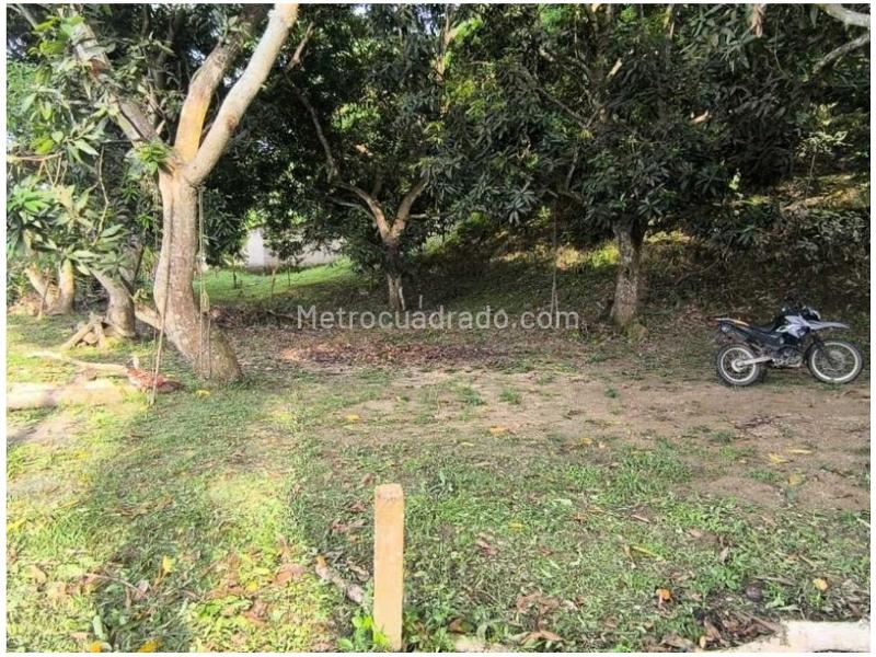 Lote en Venta, Buritaca, Santa Marta - Más