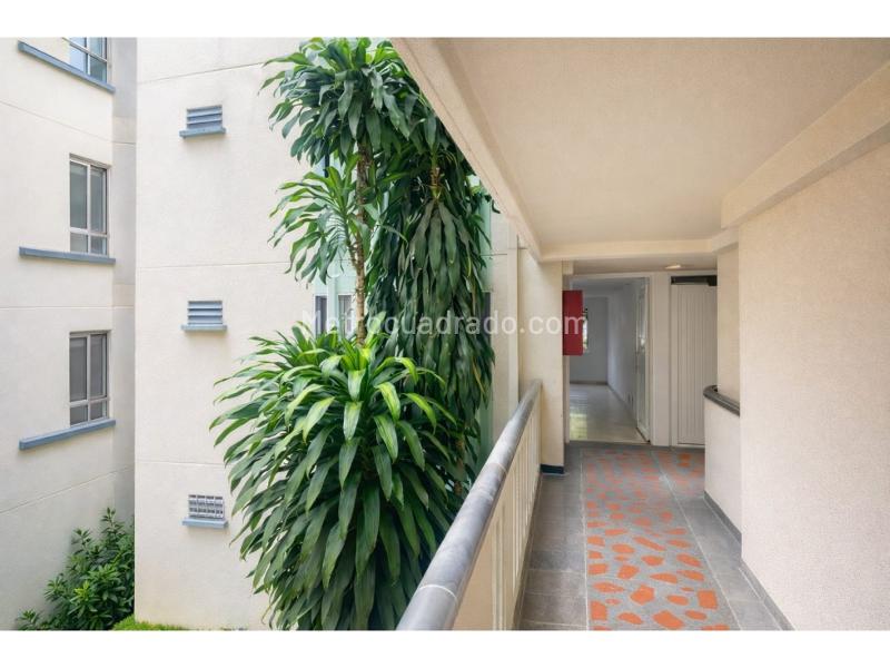 Piso – Cali - Vista 5