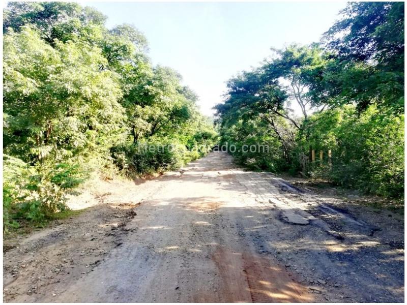 Lote en Venta, Neguanje, Santa Marta - Vista 3