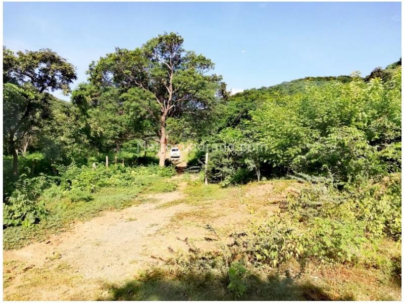 Lote en Venta, Neguanje, Santa Marta - Vista 5