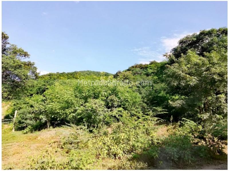 Lote en Venta, Neguanje, Santa Marta - Más
