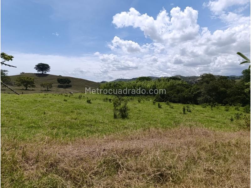 Lote en Venta, Cali, Cali - Vista 2