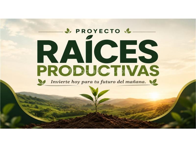 Lote en Venta, Cali, Cali - Vista 4