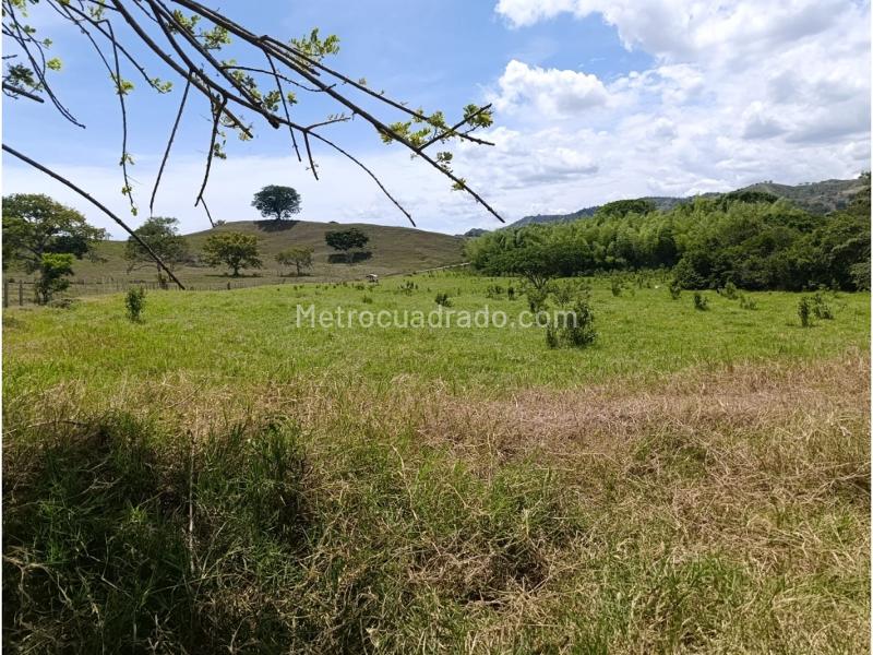 Lote en Venta, Cali, Cali - Vista 5