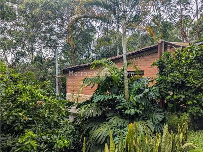 Casa de 5 alcobas en venta en Los Balsos, Medellín, 1150 m² · foto 5 de 20