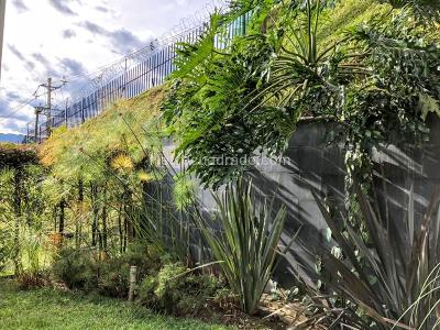 Casa de 4 alcobas en venta en Aves Marias, Sabaneta, 800 m² · foto 13 de 16