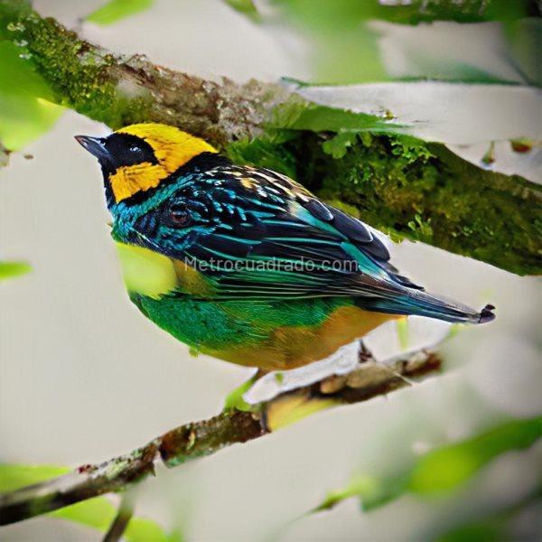 2BR Apartment in Los Salados (129 m²) - 3