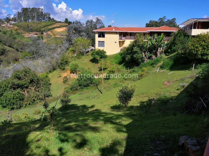 Piso – Rionegro - Vista 3