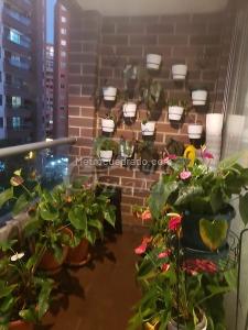 Apartamento en venta en Zuniga, Envigado · foto 16 de 16
