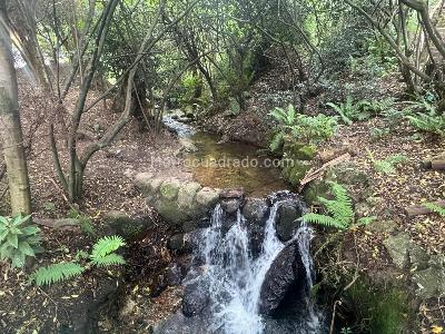 Apartamento en venta en Los Rosales Reservado, Bogotá · foto 19 de 19