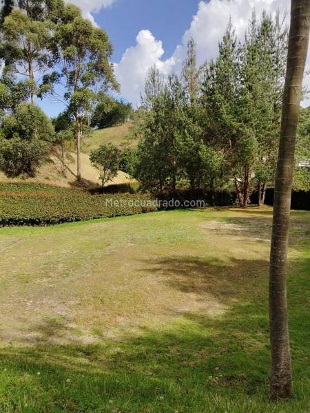 Lote en Venta, Vereda La China Bello, Bello - Vista 5