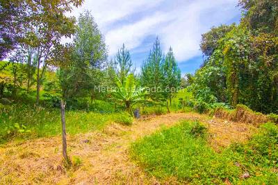Casa de 5 alcobas en venta en Vereda La Lana San Pedro De Los Milagros, Rionegro, 440 m² · foto 20 de 20