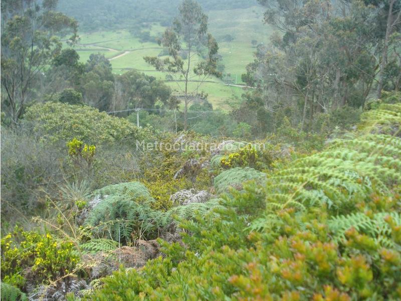 Lote en Venta, Yerbabuena, Chía - Vista 2