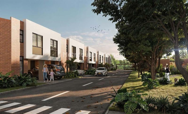 Proyecto MACARENA - Ansicht 4