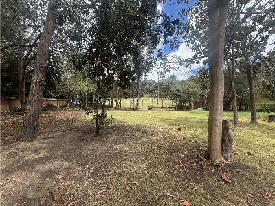 Casa de 4 alcobas en venta en Chia, Chía, 450 m² · foto 12 de 12
