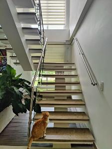 Casa de 4 alcobas en venta en Parcelaciones Pance, Cali, 1200 m² · foto 12 de 20