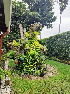 Casa de 4 alcobas en venta en Parcelaciones Pance, Cali, 1200 m² · foto 15 de 20