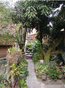 Casa de 5 alcobas en venta en Laureles, Medellín, 424 m² · foto 8 de 16