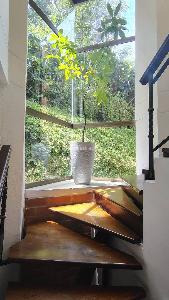 Casa de 4 alcobas en venta en Los Alcazares, Sabaneta, 396 m² · foto 14 de 20