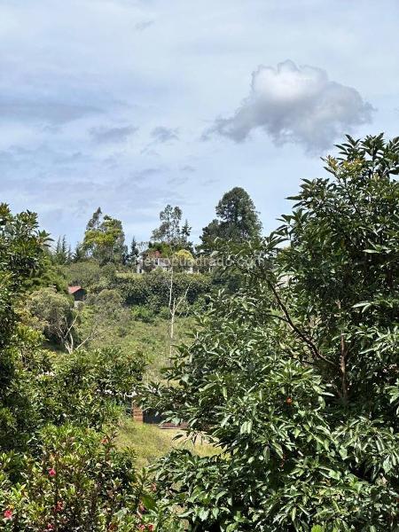 5BR House in Rionegro (3800 m²) - 4