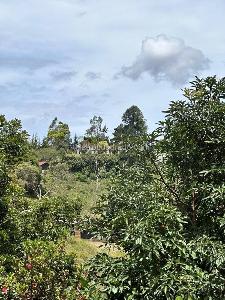 Casa de 5 alcobas en venta en Rionegro, Rionegro · foto 4 de 20