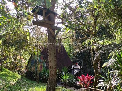 Casa de 5 alcobas en venta en Santa Elena, Medellín · foto 8 de 19