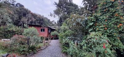 Casa de 5 alcobas en venta en Santa Elena, Medellín · foto 10 de 19
