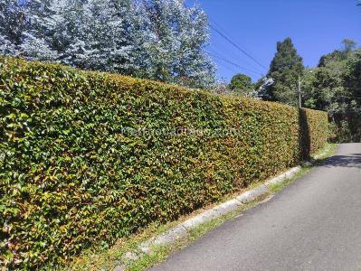 Casa de 5 alcobas en venta en Santa Elena, Medellín · foto 17 de 19