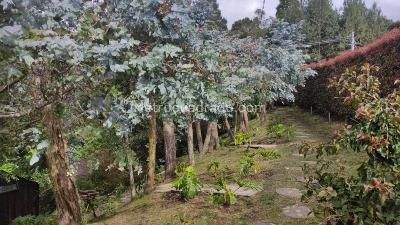 Casa de 5 alcobas en venta en Santa Elena, Medellín · foto 19 de 19