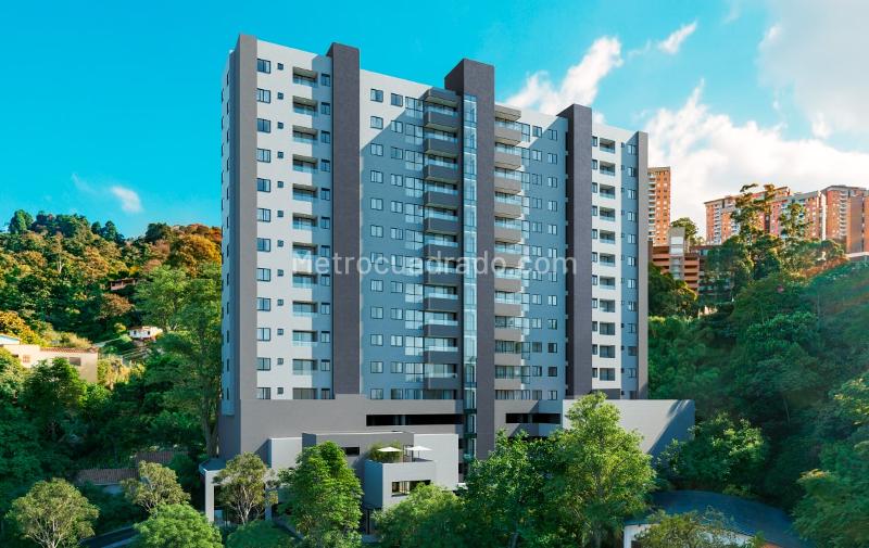 Proyecto Bosque Sagrado