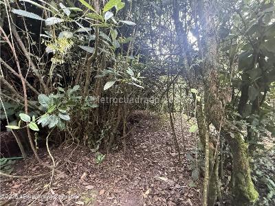 Casa de 1 alcoba en arriendo en Altos De Yerbabuena, Chía, 30 m² · foto 15 de 20