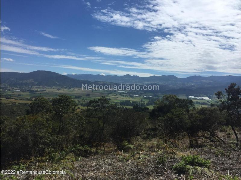 Lote en Venta, Altos De Yerbabuena, Chía - Vista 4